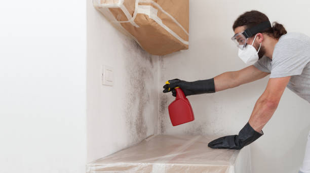 Professional Mold Inspection And Testing technician working in Lincroft, NJ